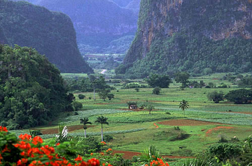cuba_vinales (3)