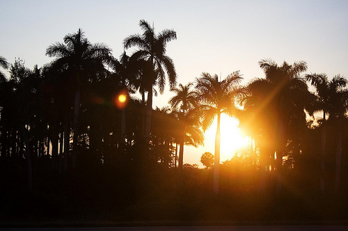 3219388793_4e8b53bdfb (7)