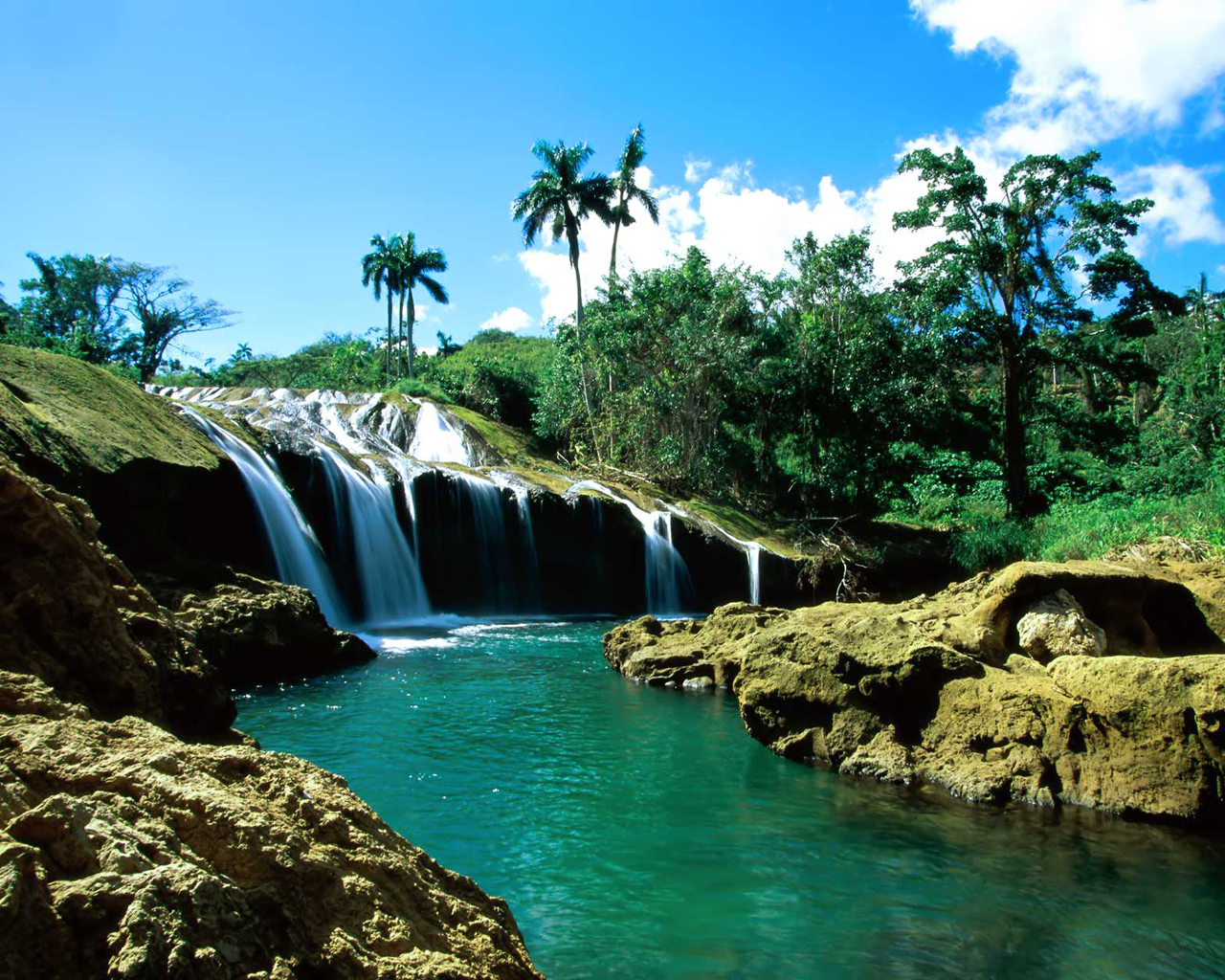 el_nicho_cuba-1600x12001 (4)