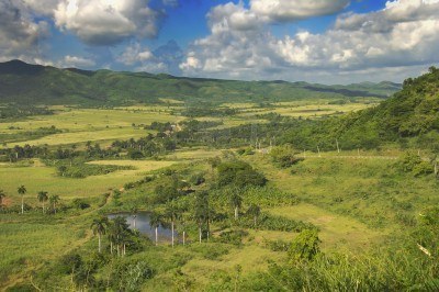 5398321-una-vista-del-paisaje-tropical-con-vegetacion-de-las-zonas-rurales-en-el-campo-cubano (1)