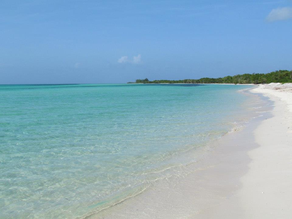 1239610_10201841233903598_1342061946_n