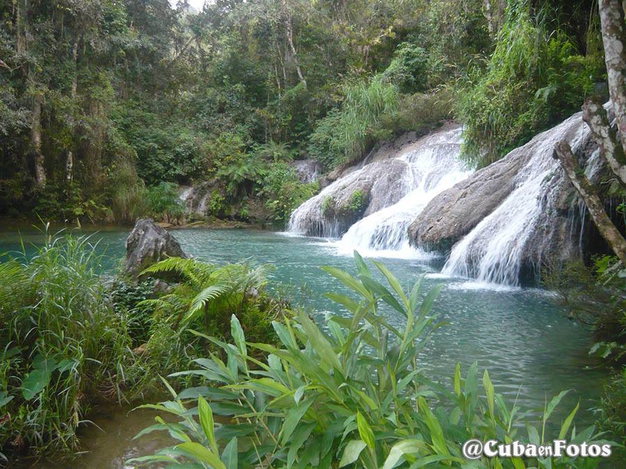 1208876_10151879264856083_1013070383_n (1)