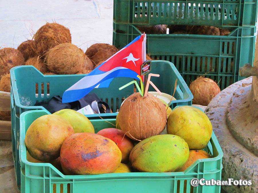 1237826_10151876825476083_166340414_n