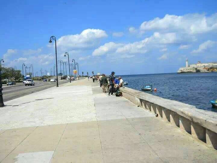 1891022_10152196012486083_2120169970_n (2)