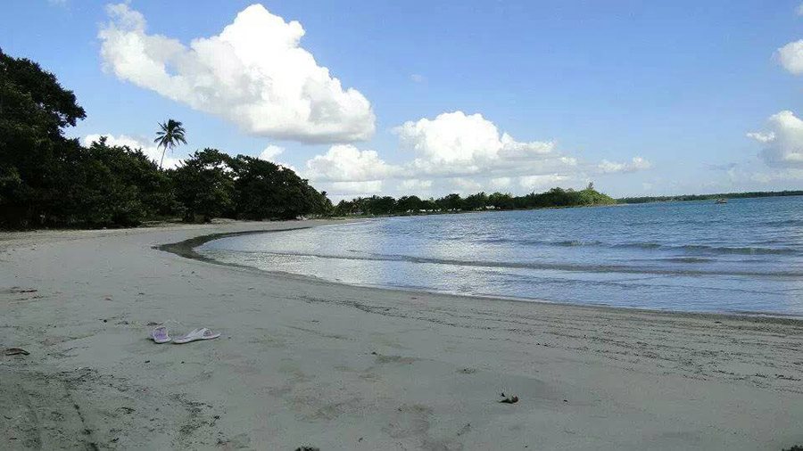 1898066_10152256665096083_1007645971_n