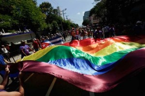 dia-contra-homofobia-telesur