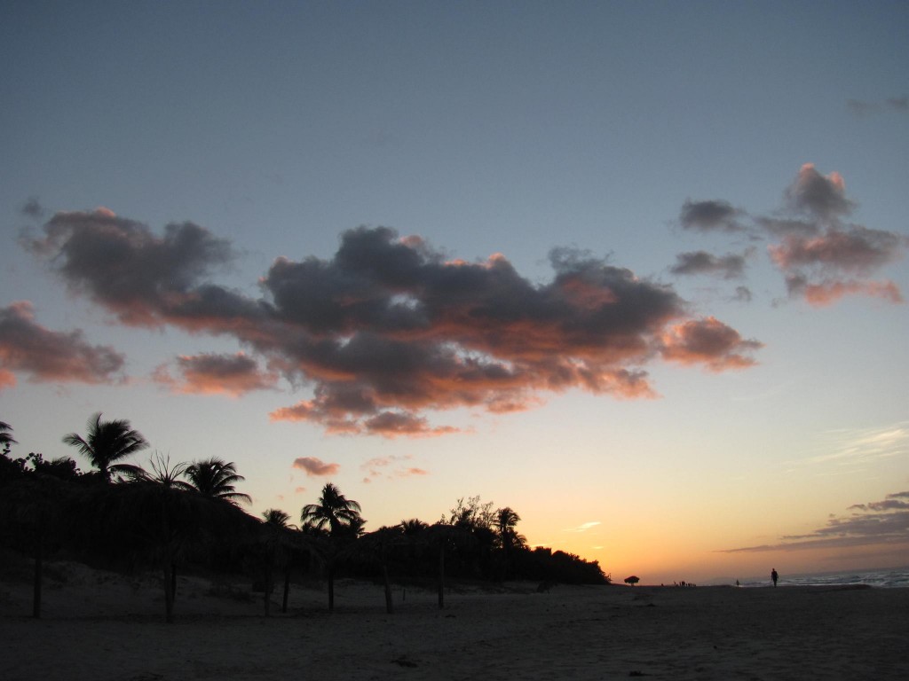 1270610_10152451962461083_1899573882463957984_o