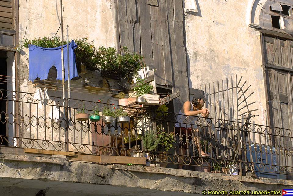 10441308_10152588563881083_8272372002715174824_n