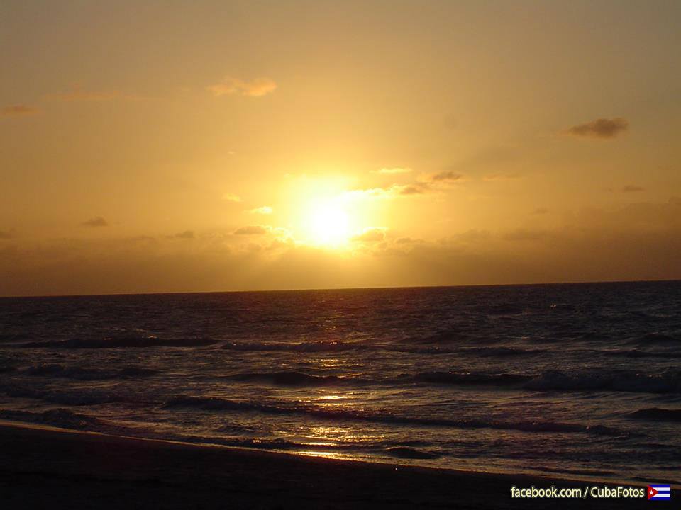 10690092_10152828503016083_3741755647103244812_n