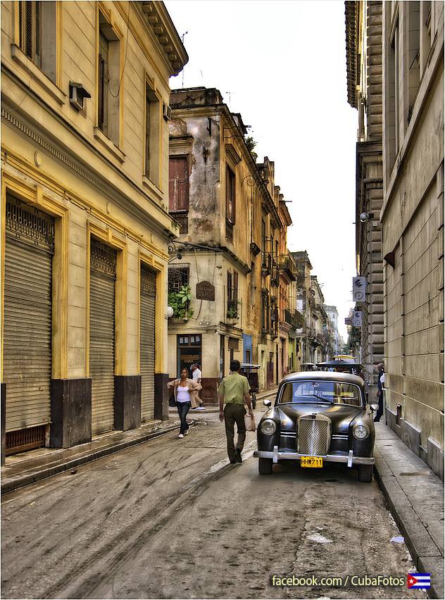 10930197_10152972453386083_2139806510371313492_n