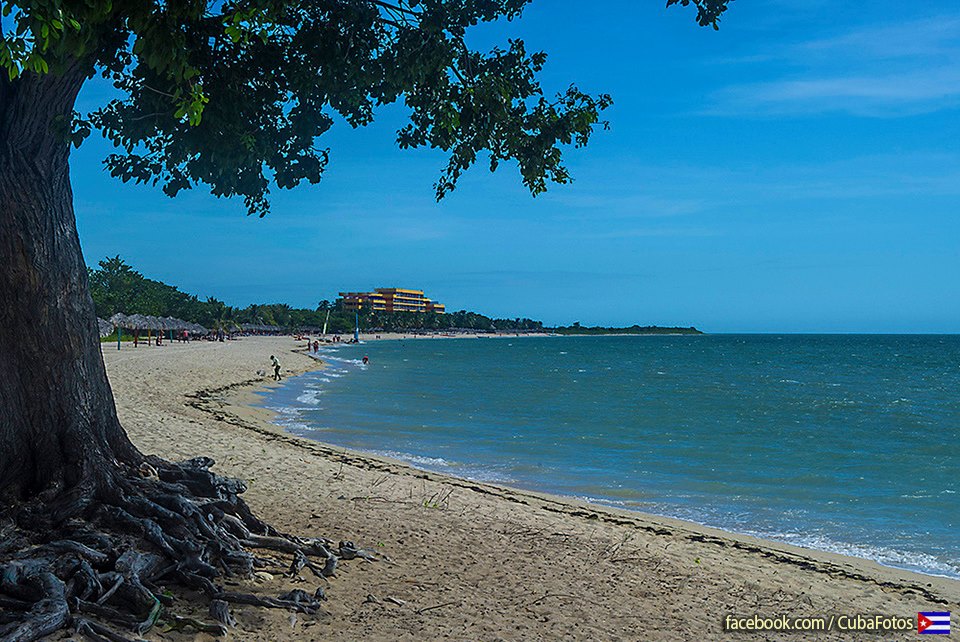 10885456_10153049821046083_4173721017570294131_n