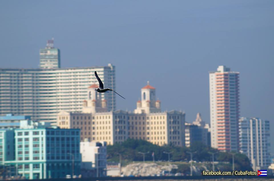 11036371_10153081528396083_2790006272352622421_n