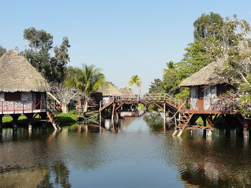 11037347_10153061263091083_4620691813921125902_n