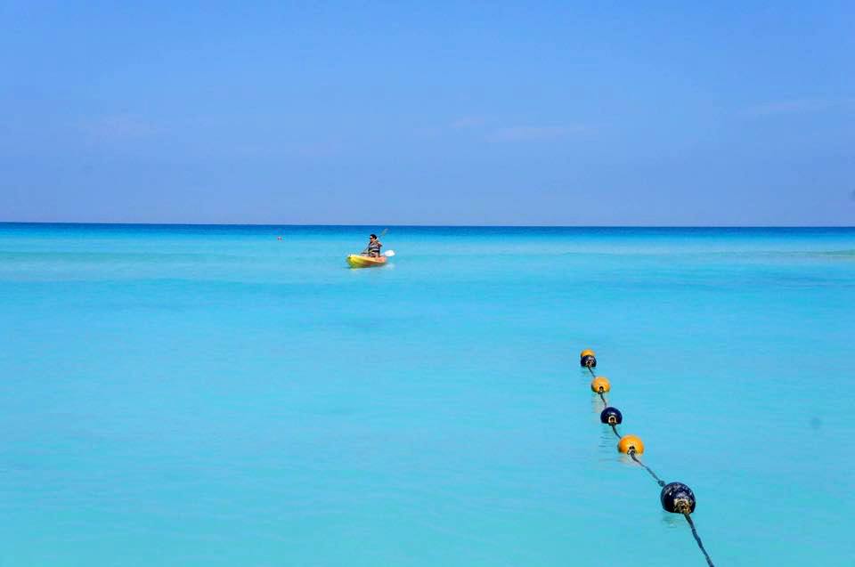 11066620_10153135174841083_1643092256162339828_n