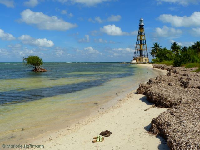 11120513_10153168383496083_4731394936678685738_n