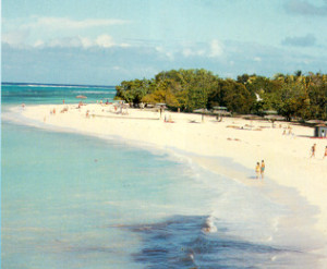 CuGuardalavaca3