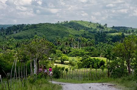 Valle_Yumuri_en_Cuba