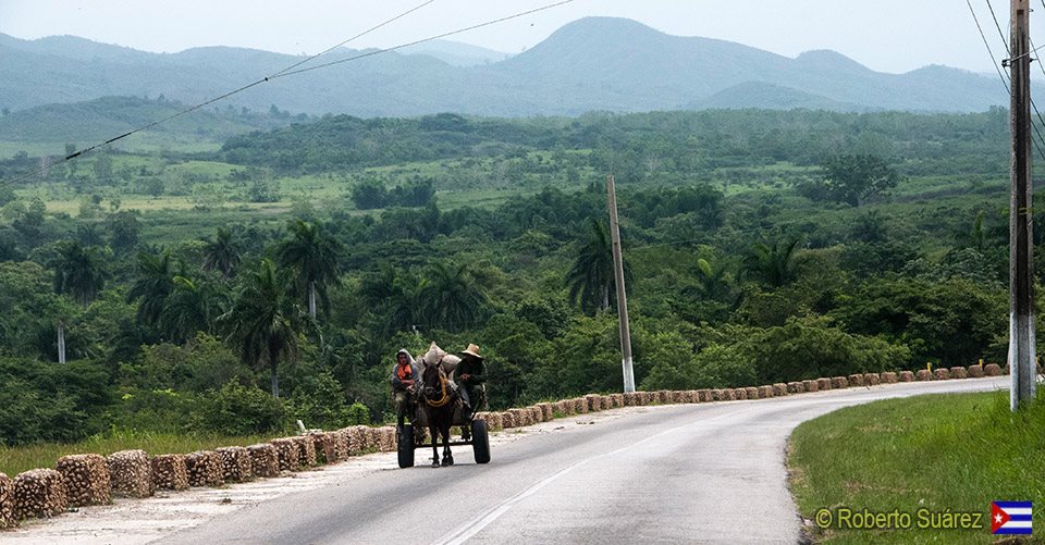 CUBA PHOTOS.     Llegando al mirador del "Valle de los Ingenios".