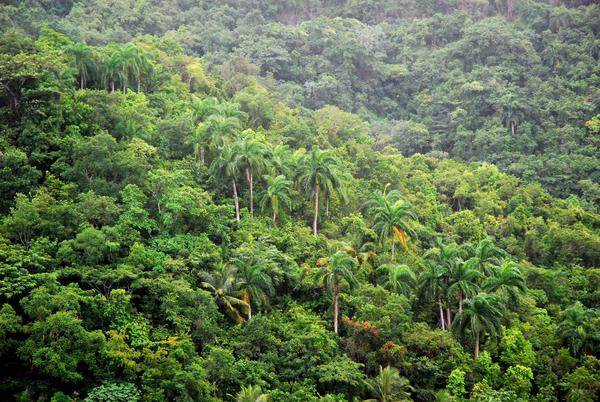 CUBA PHOTOS. Paisaje montañoso de los campos de Baracoa, en la Oriental provincia.