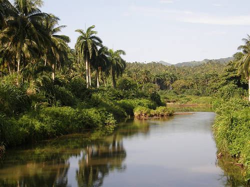 CUBA TODAY/HOY: Paisajes del bello campo cubano. 