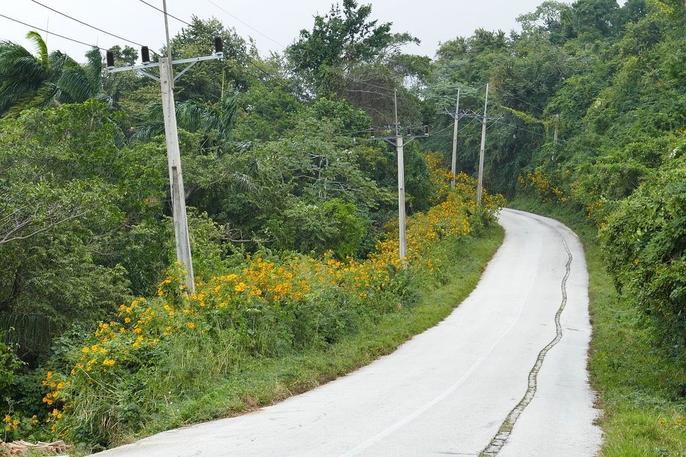 CUBA TODAY/Hoy: Viaje a través del Macizo montañoso del Escambray. 