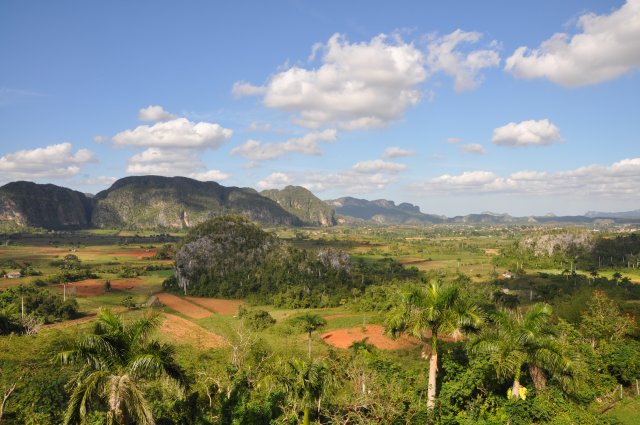 vinales