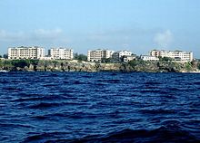 The_Crane_from_Cobblers_Reef