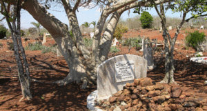 William Stokes graveyard, the last original american that remained in Gloria City until his death in 1974.