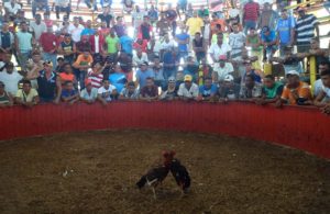 Pelea-de-3-min-755x490