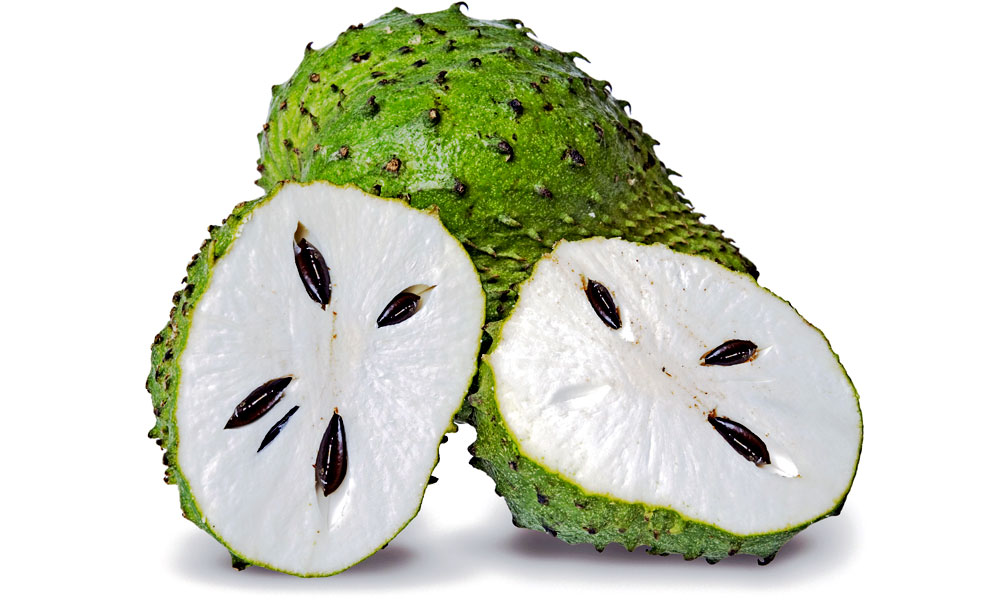 Guanabana cancer