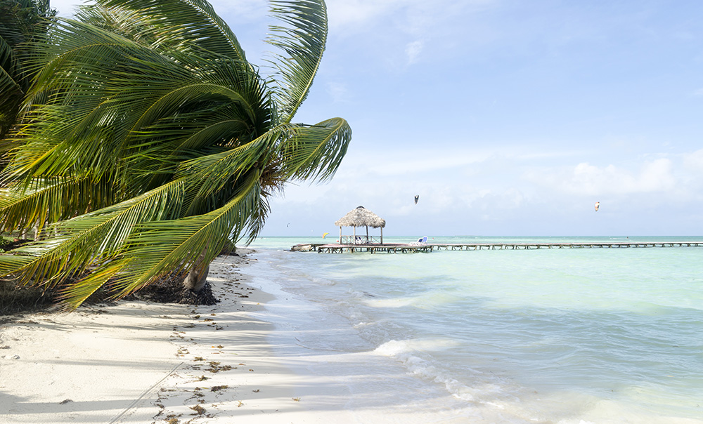 CayoCoco-Plage-Palmier-1000x604.jpg