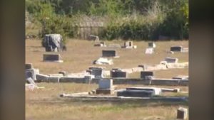 image-e1552502409278