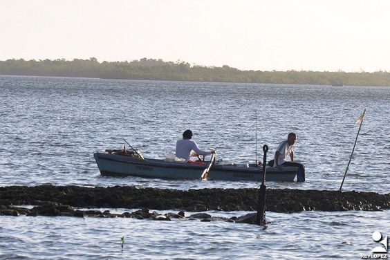 0821-Puerto Manatí_2