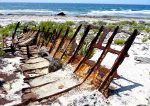 GuanacabiblesPlayaLaBarcaElBarcodelCafe