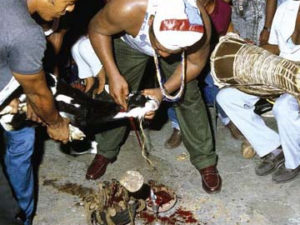 santeria