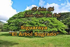download (64)