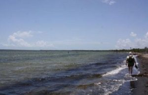 playa-bibijagua-2-463x300