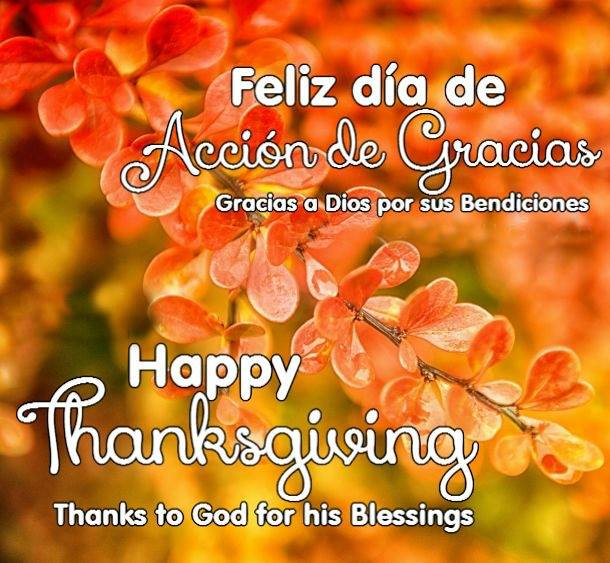dia-de-accion-de-gracias_012