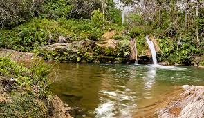 images (49)