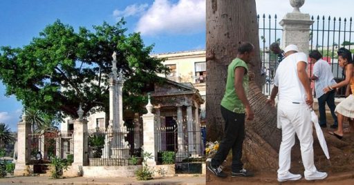 la-ceiba-de-la-habana-512x268 (1)