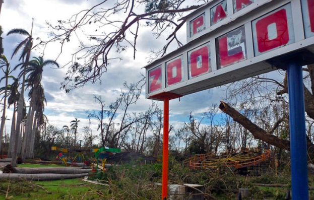 Más allá del portón del zoológico de Caibarién, que antes era uno de los espacios más animados de la provincia, esperan montañas de chatarra. (Guardabosques de Cuba)
