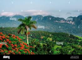 images (8)